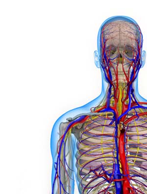 Thoracic Outlet Syndrome