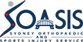SOASIS Logo